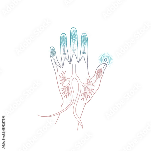 Conceptual Illustration of Human Hand Containing Bronchial Tree and Alveoli Structures, Abstract Vector for Respiratory Health, Oxygen Saturation, and Lung Biology