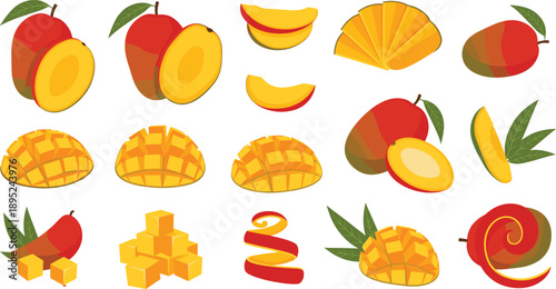Mango fruit illustration set with whole sliced cubes spirals and tropical produce elements