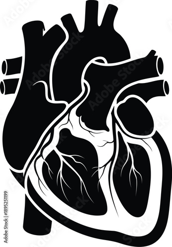 Anatomical heart illustration with arteries and veins, human organ symbol, medical science concept, black silhouette vector