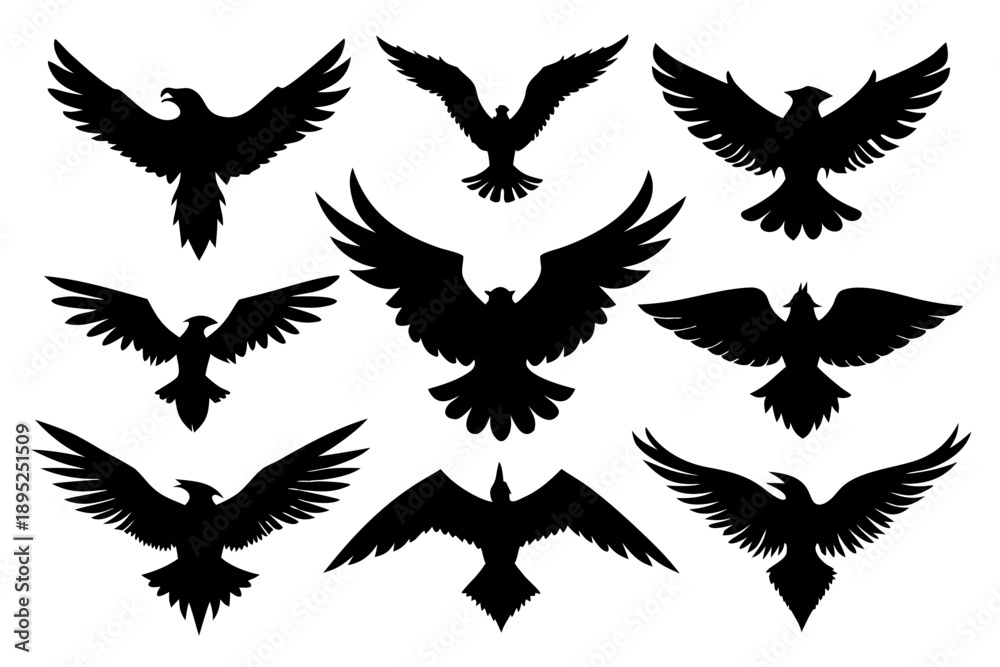 Fototapeta premium set of flying bald eagle silhouette, flying bird silhouette