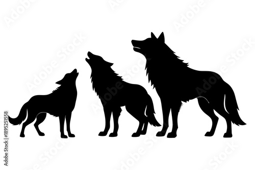 Wild Wolf Silhouette Vector Set,Black Wolf Silhouettes Collection