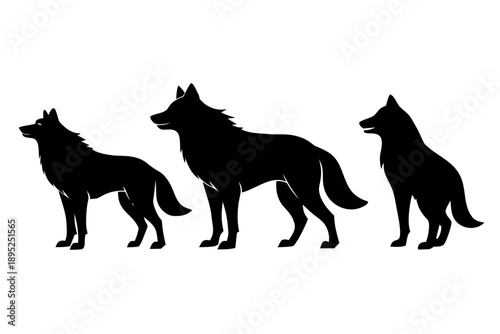 Wild Wolf Silhouette Vector Set,Black Wolf Silhouettes Collection