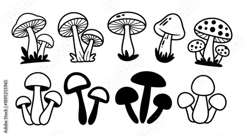 Hand drawn collection of various mushroom doodles in a whimsical black and white style