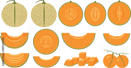Cantaloupe melon illustration set with whole sliced wedges cubes and cross sections isolated