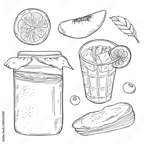 Kombucha. Healthy beverage. Ingredients for homemade fermented tea. Hand drawn vector illustration. Isolated objects on white