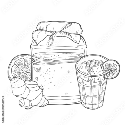 Collection of kombucha: mushroom, jar with kombucha tea. Super food. Vector hand drawn illustration