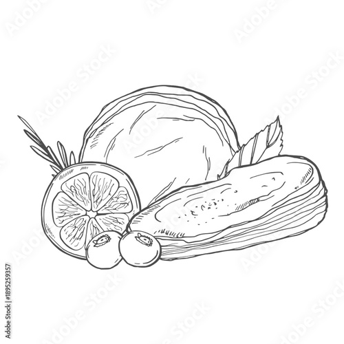 Kombucha mushroom tea. Super food. Vector hand drawn illustration