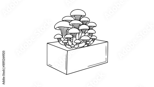 Edible Mushroom Kit Home Growing Fungi Culture Single Line Art Icon