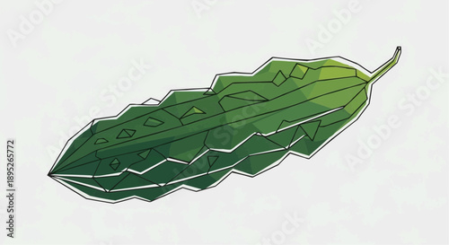 A Hand-Drawn Illustration of a Green Bitter Gourd Vegetable with a Unique Geometric Texture