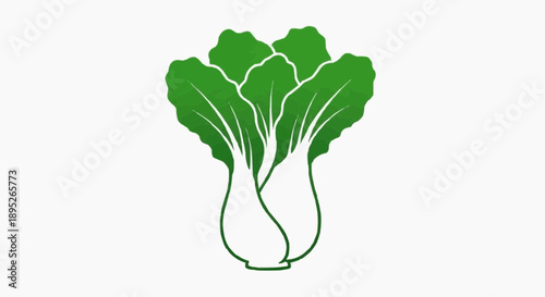 Bok Choy Vector Icon with Detailed Outline and White Background