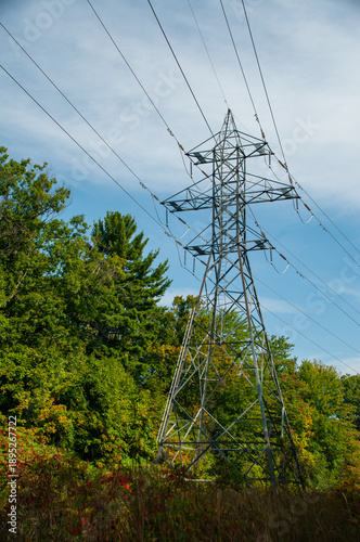 A towering steel lattice transmission tower stands above trees in a forest and meadow. Power lines stretch across the frame, illustrating modern infrastructure and the reach of the electrical grid.