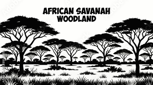 savannah woodland forests with acacia trees and grassland vegetation ecosystems black and white vector illustration