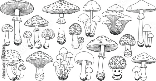 Collection of hand drawn mushroom line art icons featuring various fungi species, amanita muscaria, chanterelles, and wild forest toadstools for coloring