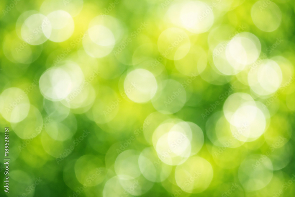 Fototapeta premium Sunlit Green Nature Bokeh Background with Soft Circles of Defocused Foliage for Fresh Spring Concept 