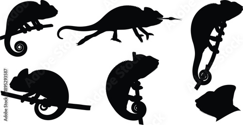 Set of chameleon silhouettes in various poses including climbing on branches and catching prey isolated on white background for design