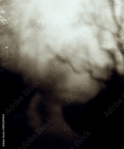 Path in the forest, scary horror dark landscape, spooky tree