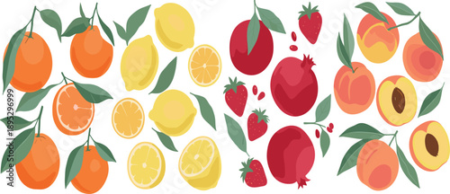 Colorful flat fruit illustration collection featuring citrus slices, berries, tropical fruits and organic foliage