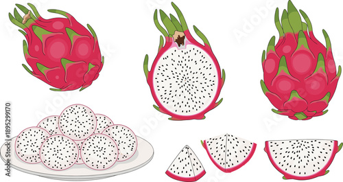 Detailed Flat Vector Illustration Collection of Exotic Dragon Fruit Featuring Whole Fruits Halved Sections Slices and Pieces on a Plate for Design.