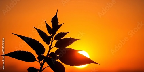 Silhouetted leafy plant against vibrant sunset glow, orange, garden