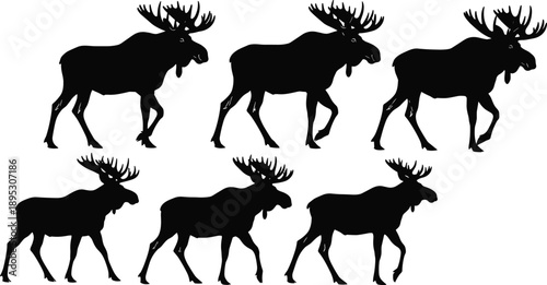 Black and white moose silhouettes collection showing walking elk with large antlers in various poses isolated on white