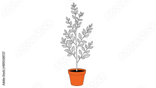 Large potted houseplant with many green leaves on multiple branches growing from a simple terracotta clay pot.