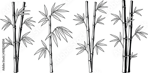 Hand drawn bamboo plant line art collection featuring elegant oriental bamboo stalks and leaves in minimalist botanical illustration style