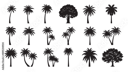 Palm trees collection with diverse silhouettes featuring different heights, shapes, and leaf arrangements displaying tropical flora in various artistic styles