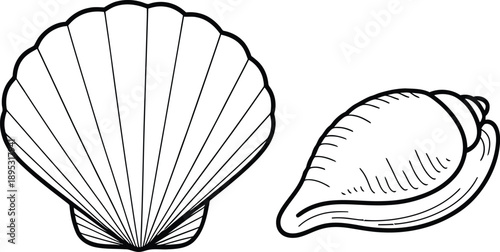 Simple black and white illustration of a nautilus shell fragment