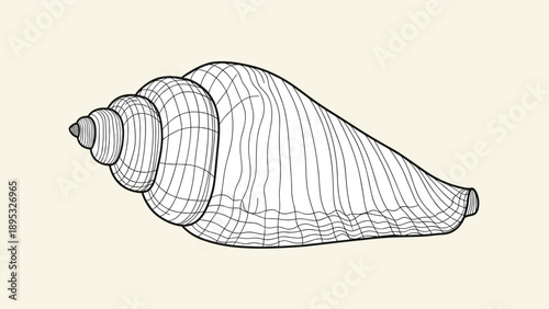 Intricate line drawing of a spiral seashell showing beautiful textures and natural spiral patterns on a light beige background for design use.