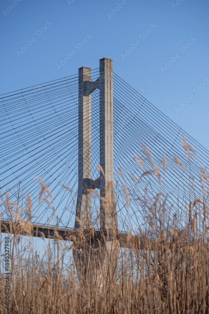 Fototapeta premium 冬の秩父・青空に映える秩父公園橋（秩父ハープ橋）と冬枯れの河原の風景