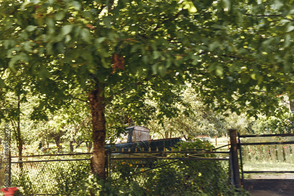 Obraz premium Car partly concealed by dense trees and a metal fence in a sunlit park setting, capturing a quiet outdoor moment with natural greenery and calm atmosphere