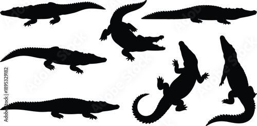 Black silhouette of alligators and crocodiles in various poses on white background vector illustration