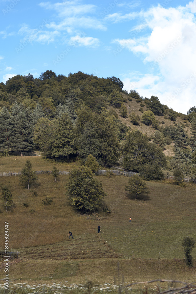 Fototapeta premium Hill meadow trees people walking in nature landscape on countryside slope with two figures authentic inclusive outdoor scene hiking and peaceful rural view calm atmosphere