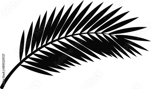 Black silhouette palm frond on transparent background, tropical leaf design element for web, print, and decoration projects