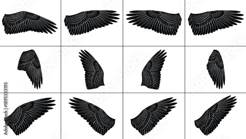 Collection of twelve detailed black and white bird wing illustrations in various poses feather