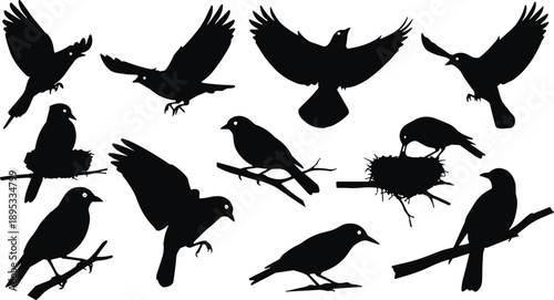 Bird silhouette vector set, flying and perched poses, nest interaction illustration, black and white avian behavior graphic design