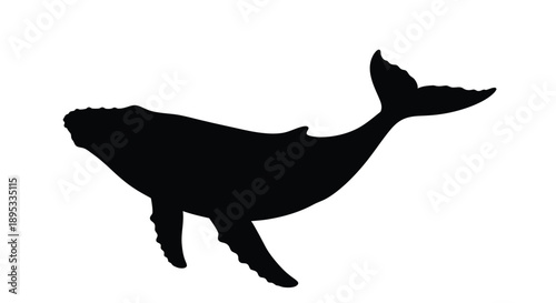 A black silhouette of a humpback whale swimming gracefully