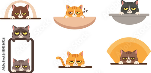 Adorable grumpy cat peeking over rounded ledge flat vector illustration