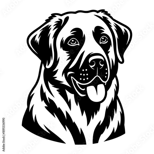 Anatolian Shepherd Dog