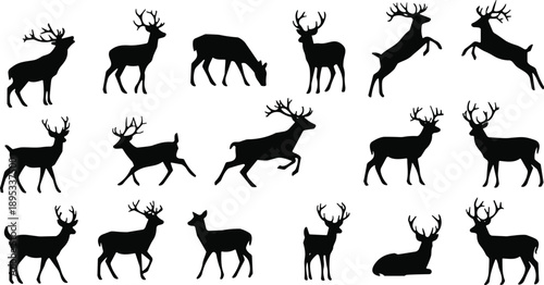 Deer silhouette vector set, antler poses, wildlife animal illustration, forest deer graphic, black and white nature design collection