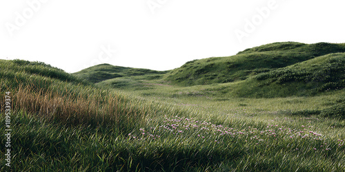 A vibrant green grass field stretches toward rolling hills under a bright blue summer sky with fluffy clouds, capturing a serene rural nature landscape across the horizon of the countryside meadow