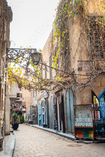 A narrow alley in the Khan El Khalili market in Cairo, Egypt. Stone buildings with vines, colourful doors, and a cobblestone path create a historic atmosphere.