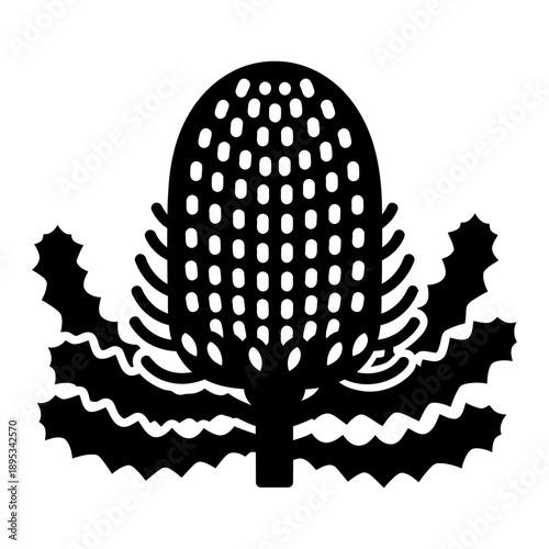 Minimalist Black and White Illustration of an Australian Native Banksia Flower with Serrated Leaves, Stylized Botanical Graphic Design Silhouette on White Background