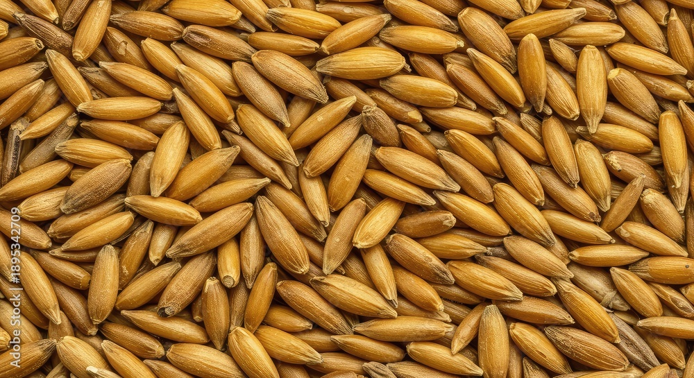 Fototapeta premium Detailed macro photograph of golden dried cereal seeds forming a dense, complex abstract pattern and intricate natural texture ,organic ,intricate ,yellow