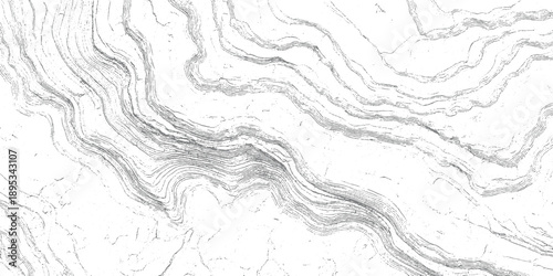 Abstract grayscale topographic contour lines and granular texture pattern