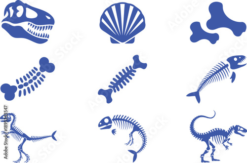 Blue dinosaur and fish skeletons seashell bones