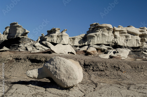 Hoodoo and unique rock formations in the Bisti Wilderness Badlands area in New Mexico, USA