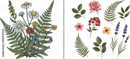 Colorful botanical collection featuring a lush wildflower bouquet with ferns and daisies, plus a variety of individual flora like roses, lavender, and berries in a soft, natural style.