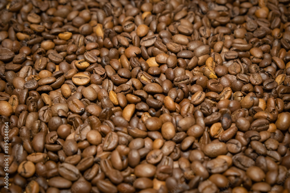 Fototapeta premium Fresh coffee beans placed on a surface ready for roasting and brewing