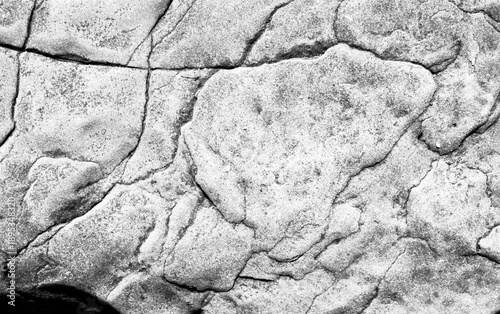 
Mineral's texture from the shore of Vancouver, Canada - 009